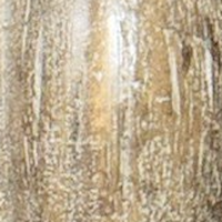 detail image